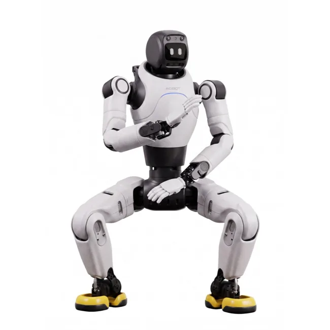 AGIBOT X2 Neo